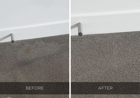 Carpet Cleaning Before after | Neil4clean